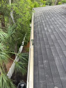 gutter cleaning on a roof with overgrown trees and a clear view of shingles and downspouts