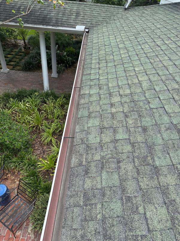 green algae on a roof showing the need for cleaning and maintenance of roofing materials and gutters