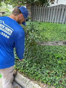 south tampa gutter and window cleaning worker trimming or maintaining vegetation near a fence using a green hose