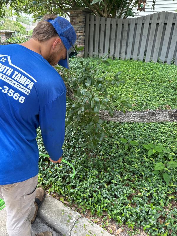 south tampa gutter and window cleaning worker trimming or maintaining vegetation near a fence using a green hose
