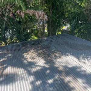 cleaning a metal roof with dirt and stains visible under sunlight and surrounded by trees and foliage