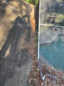 leaves and debris accumulation on a roof's edge next to a pool screen enclosure showing possible cleaning or maintenance needs