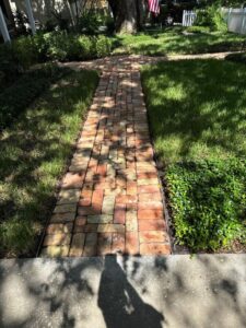 brick pathway surrounded by grass and landscaping with sunlight creating shadows on the surface