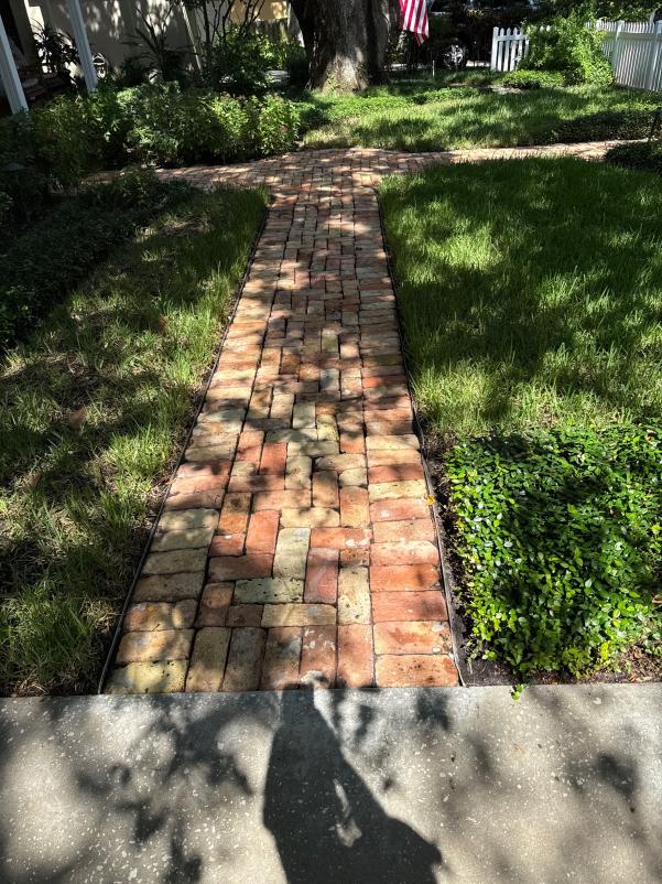 brick pathway surrounded by grass and landscaping with sunlight creating shadows on the surface
