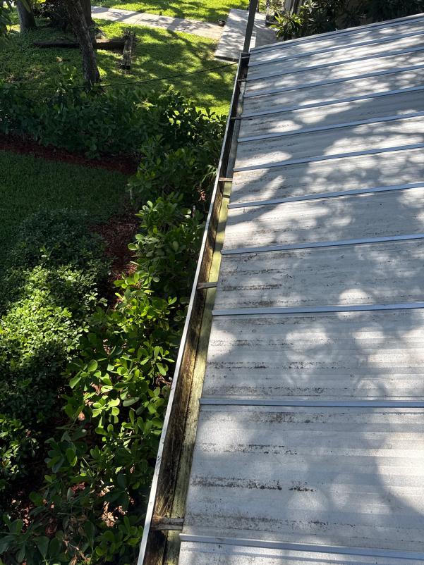 gutter cleaning service showing debris buildup on a metal gutter with green foliage below